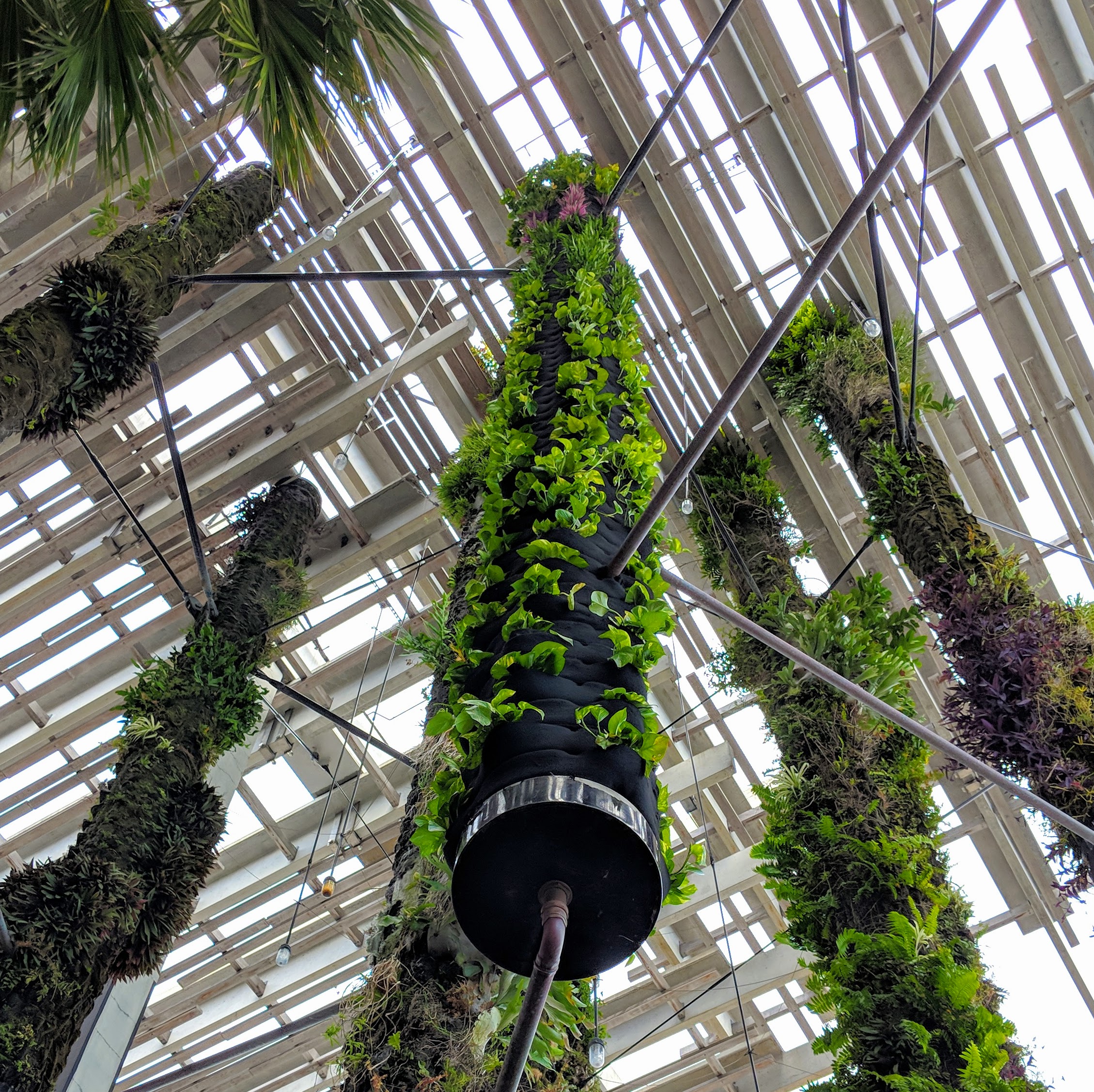 Florafelt Pockets Restore Living Columns at PAMM — Florafelt